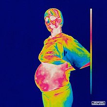 220px-Brockhampton_Iridescence